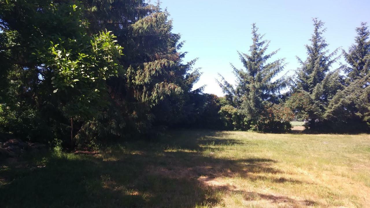 Urlaub Bei Hauenstein Apartment Born Exterior foto