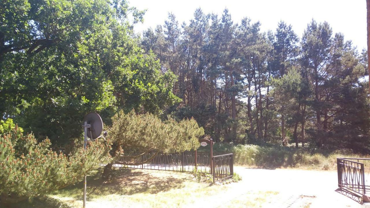 Urlaub Bei Hauenstein Apartment Born Exterior foto