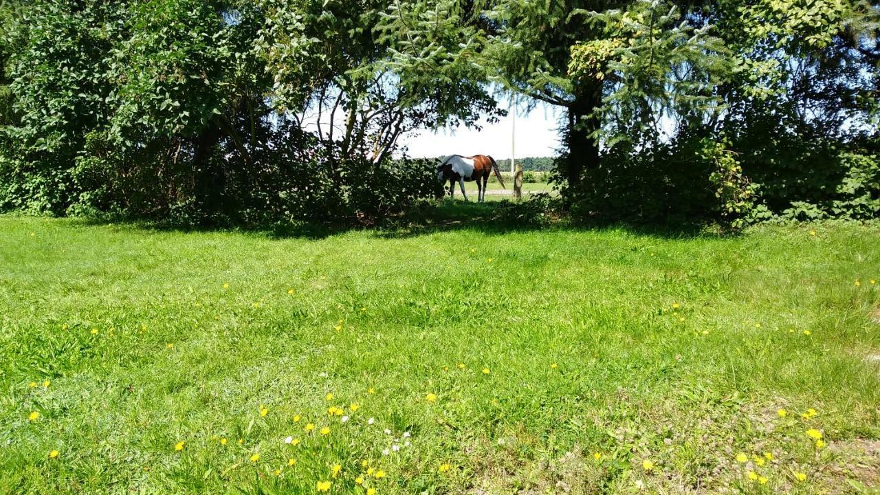 Urlaub Bei Hauenstein Apartment Born Exterior foto